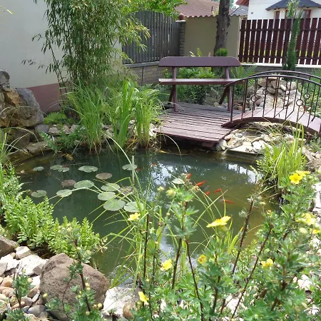 Napsugar Vendeghaz * Kiskoros